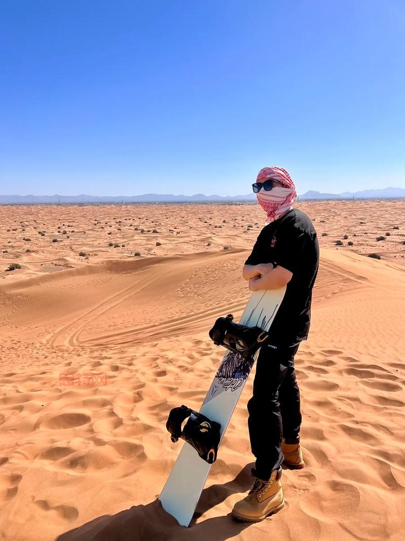 怪怪水族箱攻略:养鱼赚钱,商店宠物蛋攻略