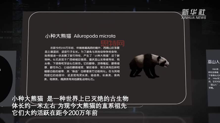 熊猫传说是真的吗？揭秘古代神话中的熊猫形象