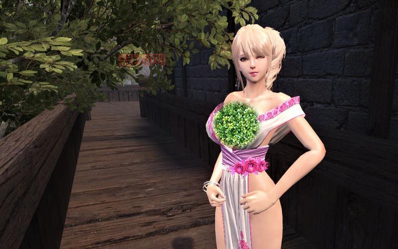 洛奇英雄传果体补丁：版本选择、安装教程及注意事项