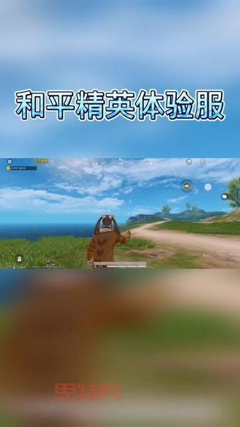 想玩和平精英体验服最新版?安卓下载安装看这里!