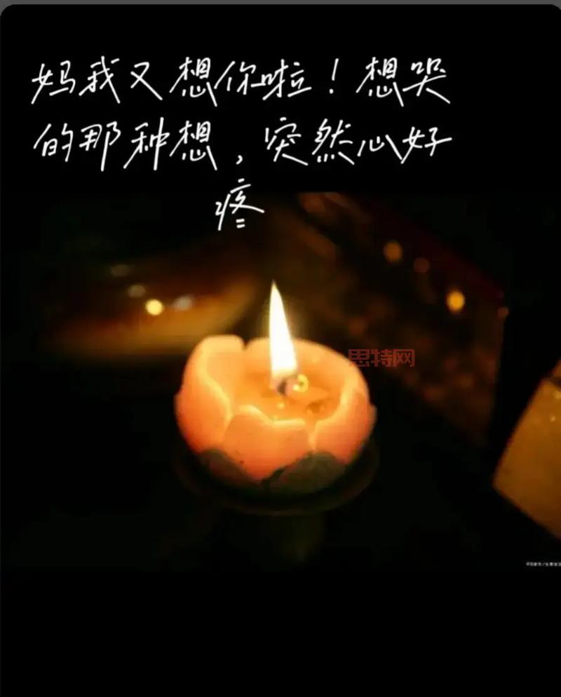 寻找被错过的天堂?这份完美攻略让你不留遗憾!