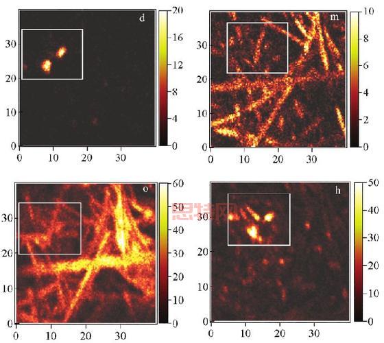 深入了解Sims与二次离子质谱技术的惊人关联