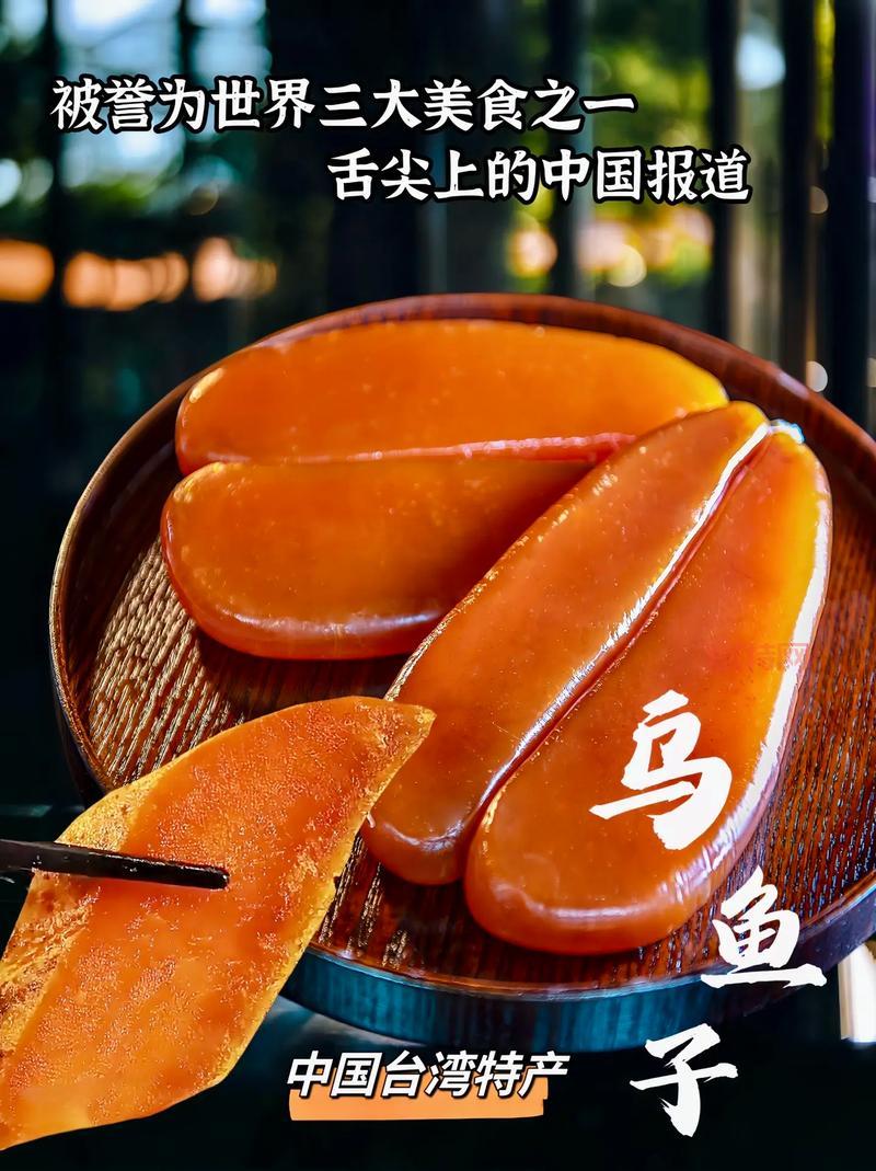 曾根菜津子：大胃女王的奇迹挑战与美食世界