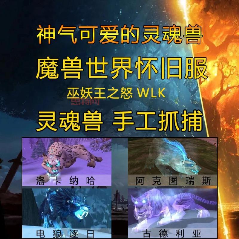 wlk猎人灵魂兽大全盘点，新手也能快速上手！