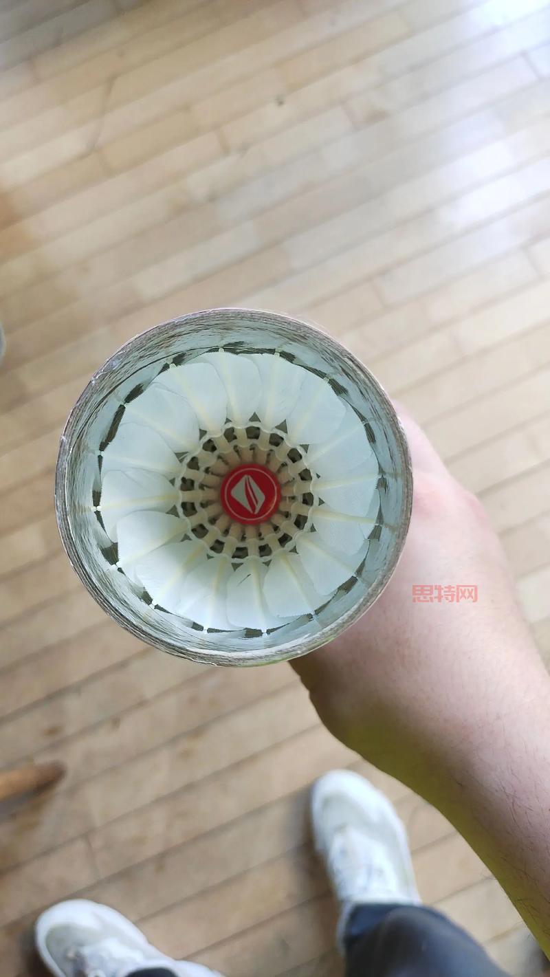 揭秘羽毛球：为什么大多数使用鹅毛     ？