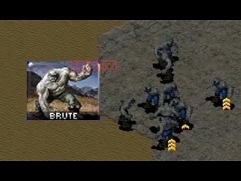 游戏内外的玛丽路：属性、技能与玩家心得分享