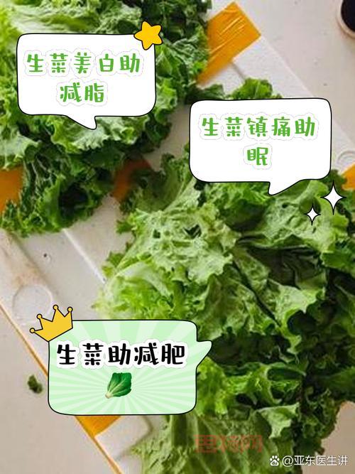 你知道吗？茴香含盐量竟然比生菜高，是真的吗？