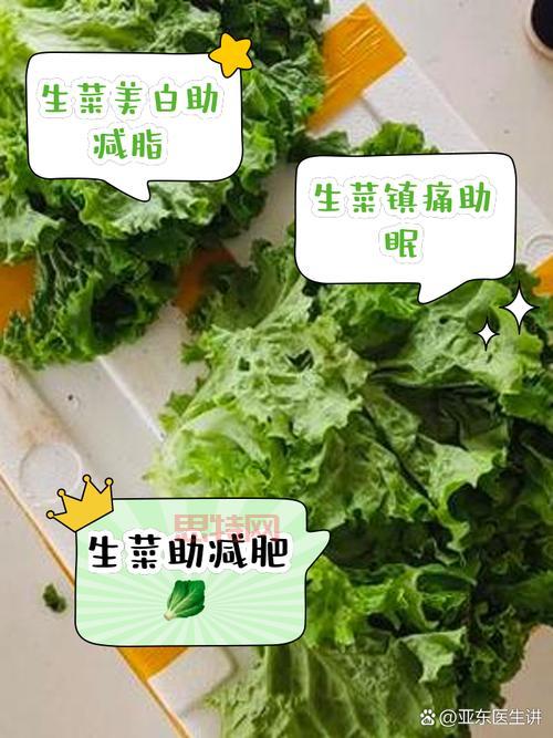 你知道吗?茴香含盐量竟然比生菜高,是真的吗?