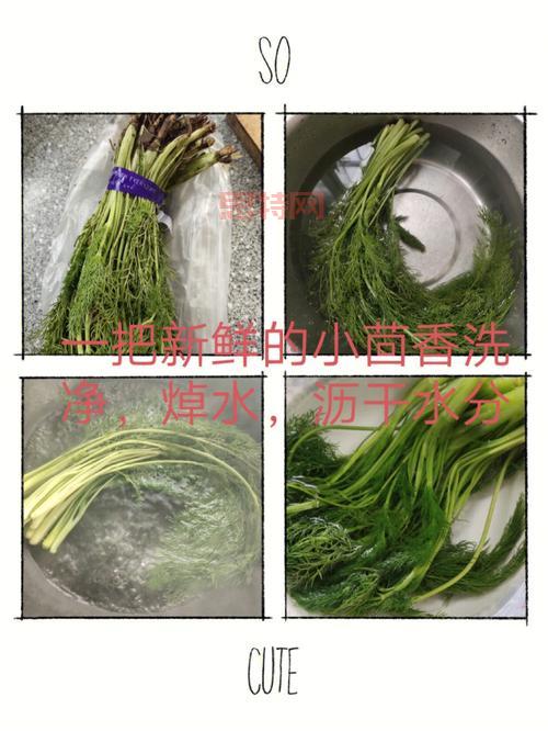 你知道吗?茴香含盐量竟然比生菜高,是真的吗?