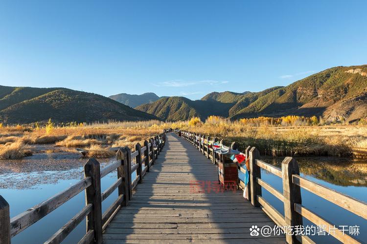 冰结师装备选择困难症？这篇攻略帮你解决所有问题！