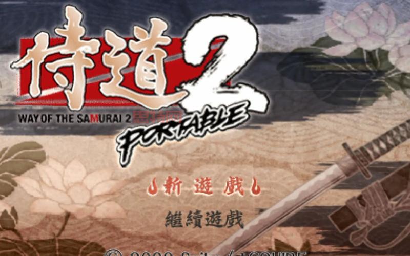 PSP侍道2秘籍大全：游戏技巧与攻略解析