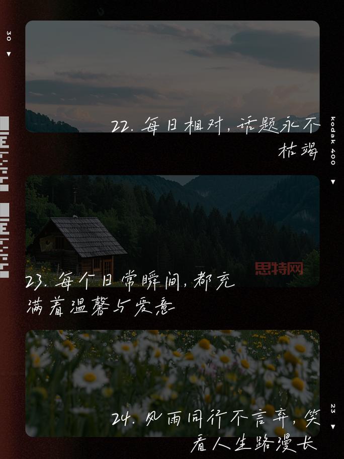 勋鹿文精选：从初识到深情相伴的温暖故事