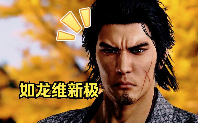 如龙维新极：探索幕末时代的动荡与坂本龙马的英雄史诗