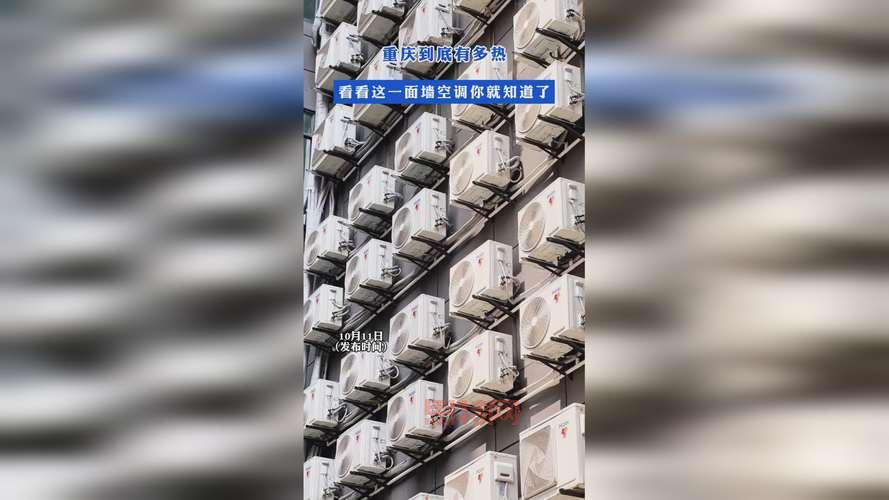 仙踪林com是真的吗？为你揭秘网站背后的真相！