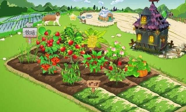 想玩     空间牧场找不到？一分钟教你快速进入！