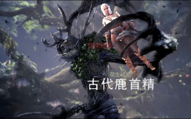 怪物猎人p3古代鲨鱼皮有什么用?详细用途攻略看这里!