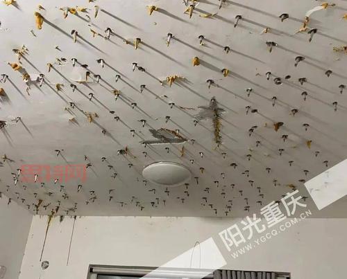 建筑工地上哪种钉子最可怕?不注意安全很危险!