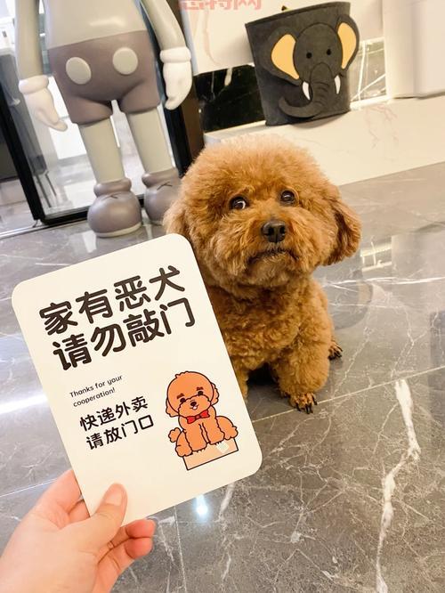 我和你什么仇什么怨？非要这样对我（内附详情）