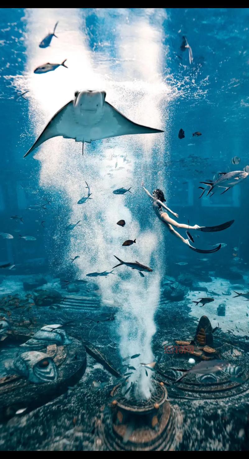 失落大陆诺提勒斯有什么?探索神秘海底世界!