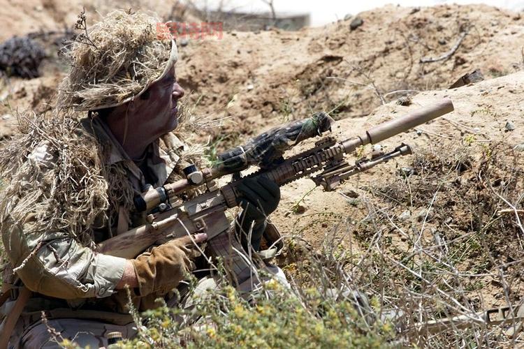 m4a1屠龙和别的枪比哪个好?看完这篇你就懂了!