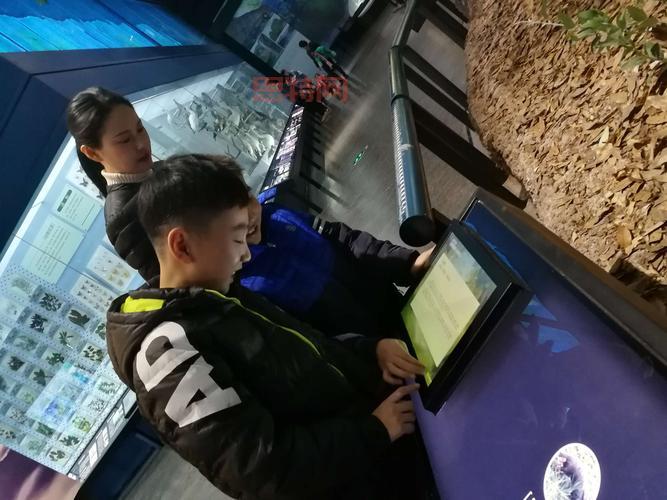 qq偷鸡小分队现在在哪？找回青春回忆就靠这篇了！