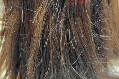 dota地图下载去哪?老玩家力荐的几个宝藏网站!