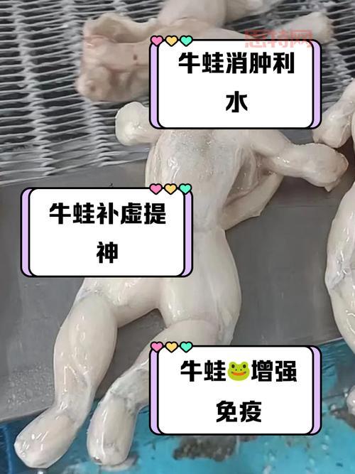 dota牛蛙是干嘛的?一篇文章带你了解它的作用!