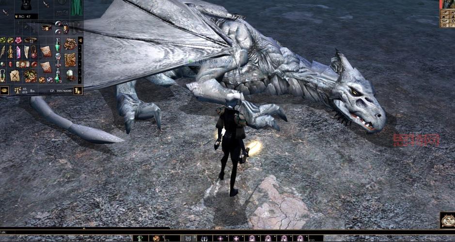 无冬之夜1第三章攻略：装备选择与技能搭配，打造最强角色！