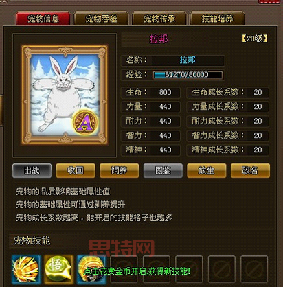 海贼王无双3中文版在哪下载？正版游戏购买指南！