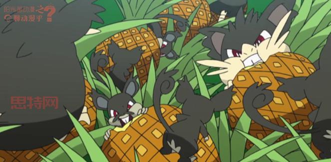 宠物小精灵ag190在哪里能看？分享几个     观看的地方！