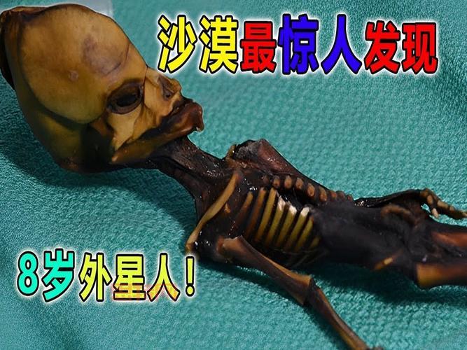 沙漠怪圈是真是假？带你一探究竟！