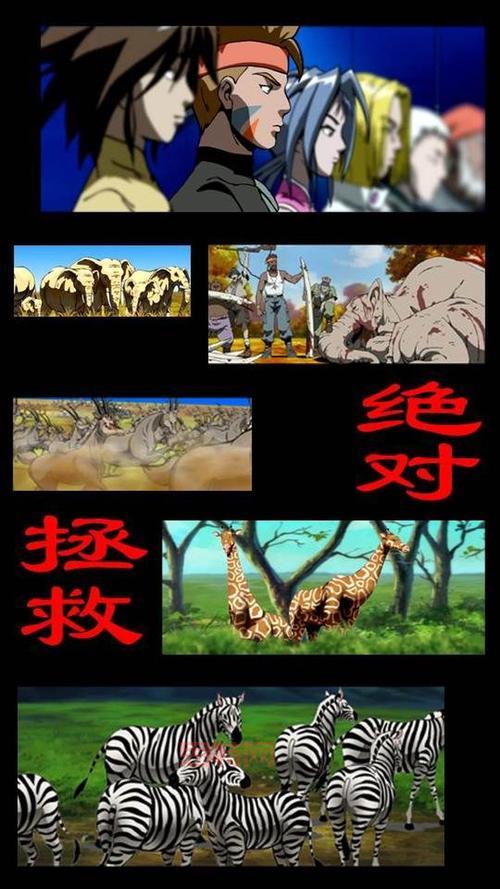 沙漠怪圈是真是假？带你一探究竟！