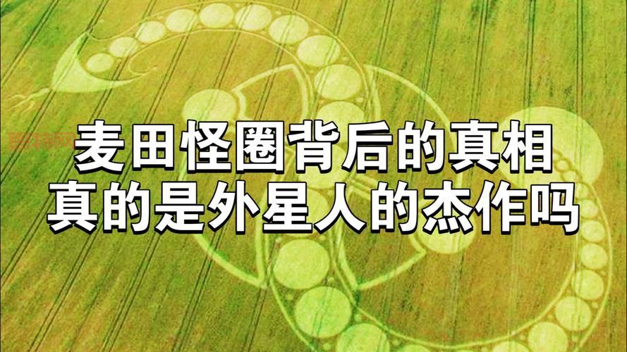 沙漠怪圈是真是假？带你一探究竟！