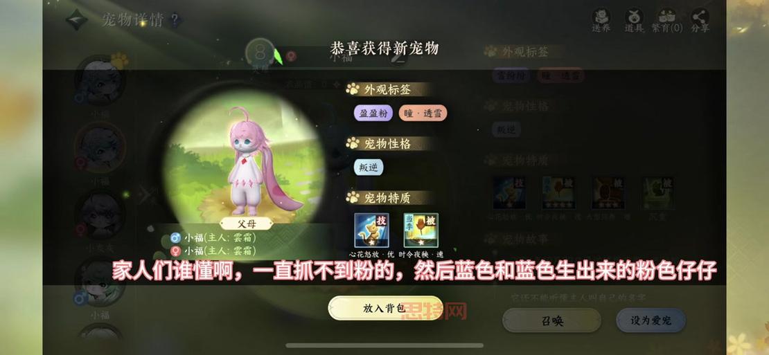 诛仙宠物采集有什么用？宠物收集攻略看这篇！