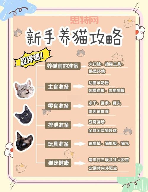 猫射手存档怎么用才正确?新手玩家看这里避免丢失进度!