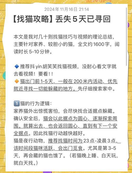 猫射手存档怎么用才正确?新手玩家看这里避免丢失进度!