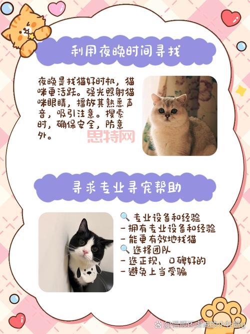 猫射手存档怎么用才正确?新手玩家看这里避免丢失进度!