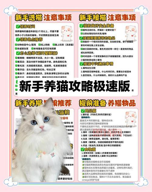 猫射手存档怎么用才正确?新手玩家看这里避免丢失进度!
