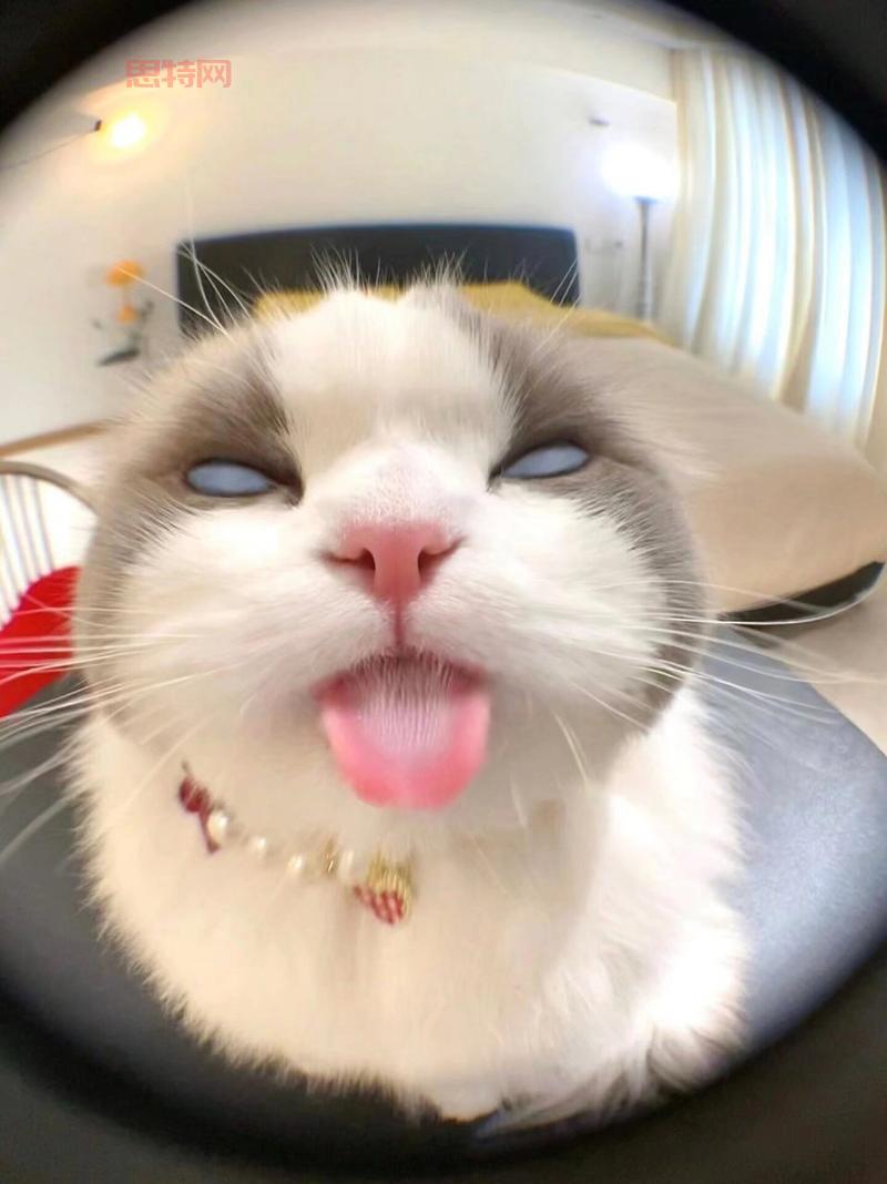 翻白眼记者是故意的吗?解读“翻白眼”背后的原因!