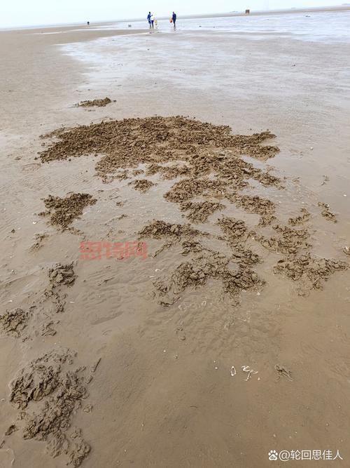 挖嘎在哪里可以玩?这几个地方你一定不能错过!