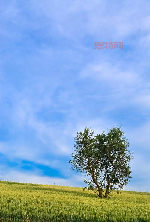 托斯卡纳天空下旅游几月份去更好？答案在这里！