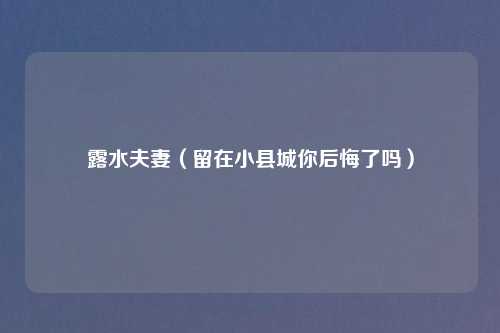 露水夫妻（留在小县城你后悔了吗）