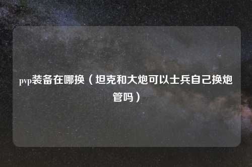 pvp装备在哪换（坦克和大炮可以士兵自己换炮管吗）