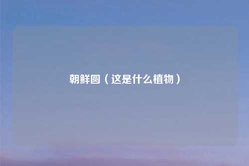 朝鲜圆(这是什么植物)