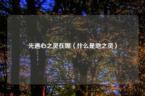 光遇心之灵在哪（什么是地之灵）