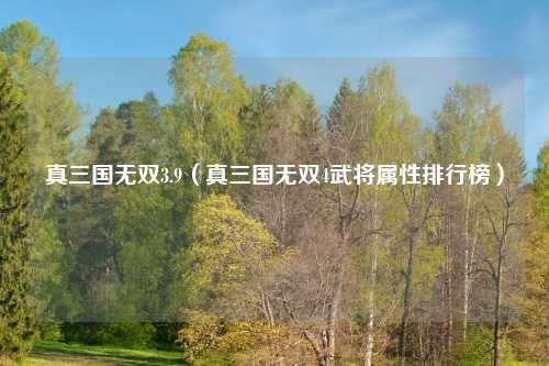 真三国无双3.9（真三国无双4武将属性排行榜）