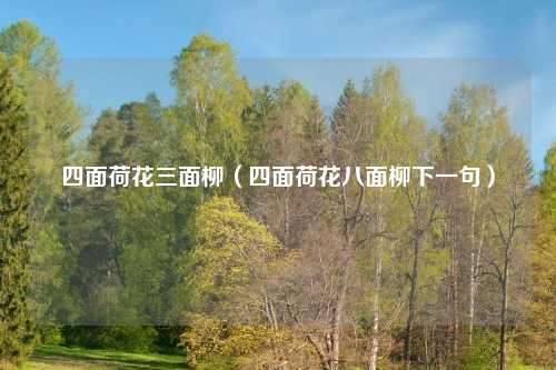 四面荷花三面柳(四面荷花八面柳下一句)