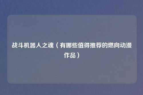 战斗机器人之魂（有哪些值得推荐的燃向动漫作品）