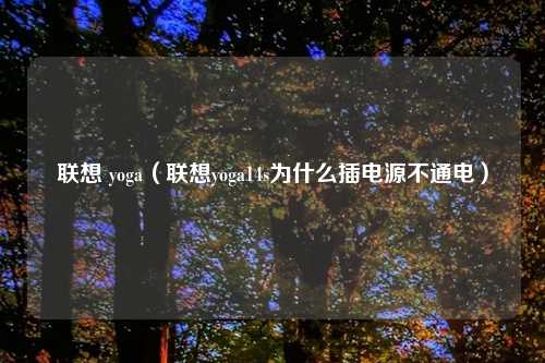 联想 yoga（联想yoga14s为什么插电源不通电）