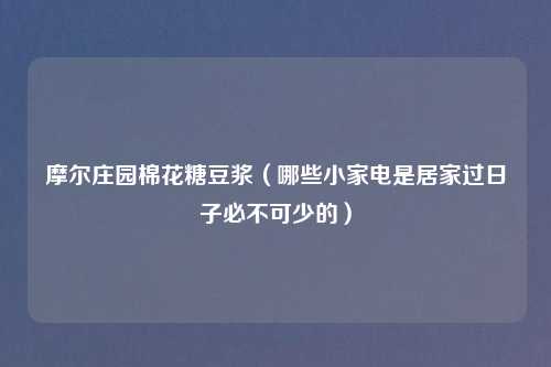 摩尔庄园棉花糖豆浆（哪些小家电是居家过日子必不可少的）
